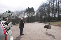 den h&auml;tte ich gerne zum spielen gehabt